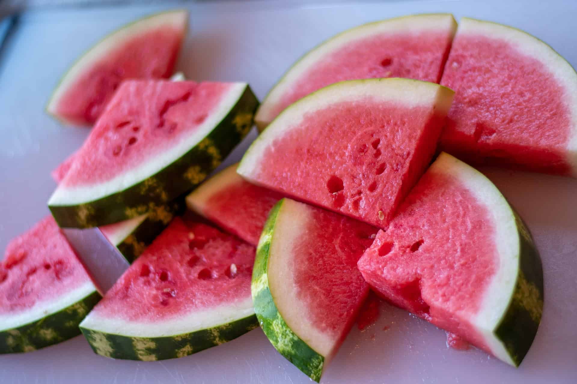 Ein Sittich kann Wassermelone fressen